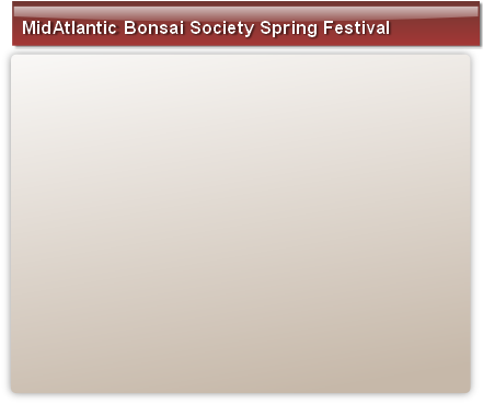 MidAtlantic Bonsai Society Spring Festival